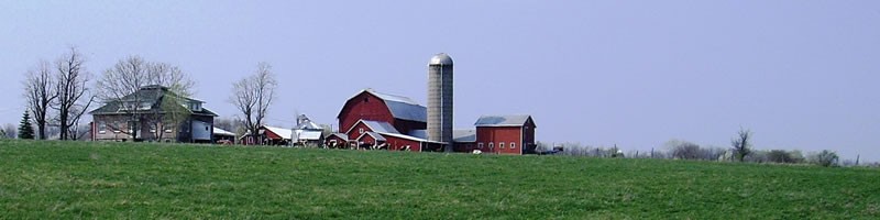 Town of Torrey Farm